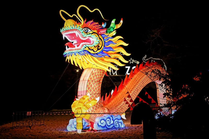 Chinese Lung Dragon